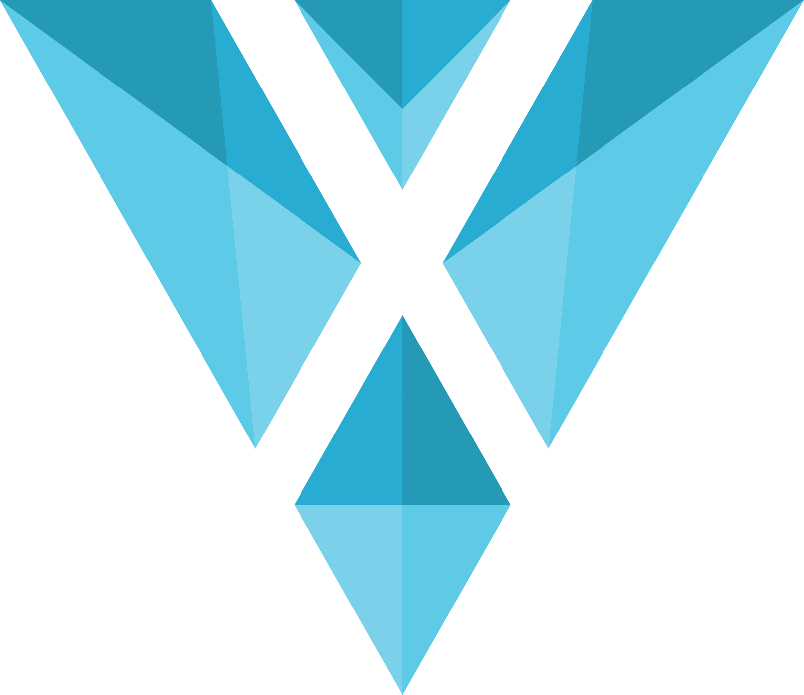 Vexora Web Services